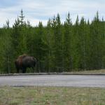 OTRA2013_1181 (July 15, 2013)